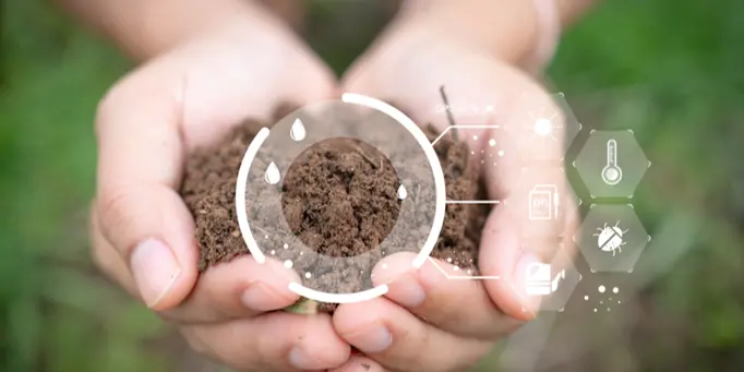 Rodzaj gleby pod trawnik